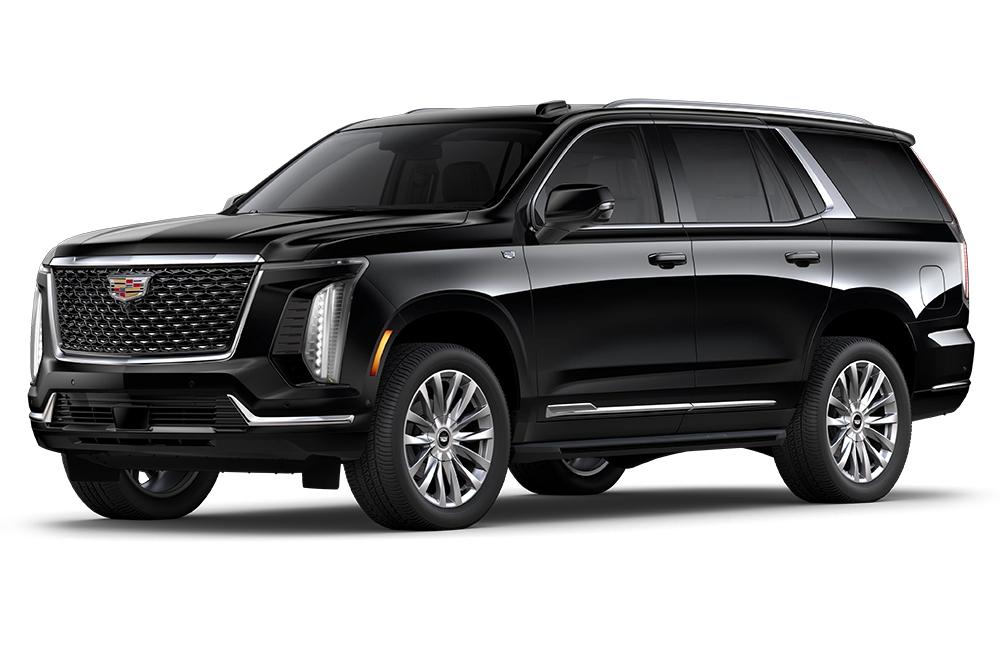 WhatsApp-Image-2025-09-15-at-17.26.31_e65c131e